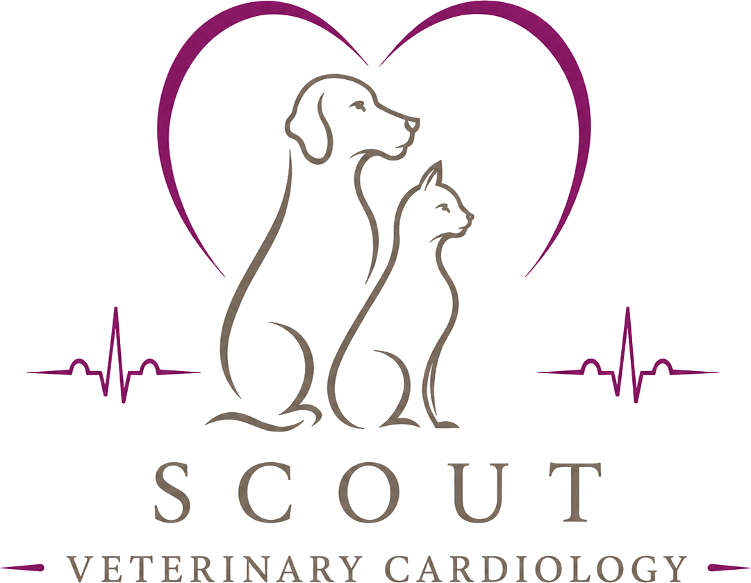 Scout Veterinary Cardiology